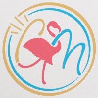 CheekySkirt Media logo - Similar company to Streamer