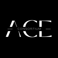 ACE Consortium logo - Similar company to Finance And Investment Cell, Dps