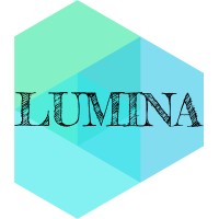 Lumina X logo - Similar company to Laragh Courseware