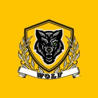 Wolf Media - An Influencer Marketing Platform logo - Similar company to Dbw | Digibizworld | Digital Business World