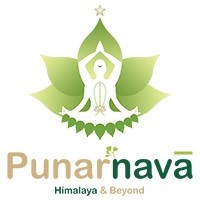 The Punarnava logo - Similar company to Zenith Group - Chile