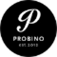 Probino GmbH logo - Similar company to Cadami