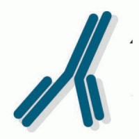 Advanced ImmunoChemical, Inc. logo - Similar company to Stemxo