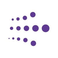 Netline logo - Similar company to Delhaze Ltd