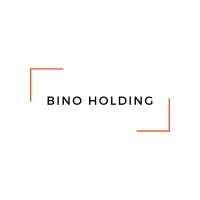 BINO HOLDING logo - Similar company to Prisme Ingénierie & Conseil