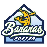 Bananas Foster Inc logo - Similar company to Edison 360