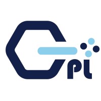 GEMINI GROUP logo - Similar company to Technvosys
