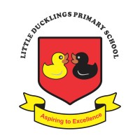 Little Ducklings Primary logo - Similar company to Mx Maringani Projects