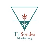 TriSonder logo - Similar company to Incubatorworks