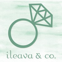 ileava & co. logo - Similar company to Tygo & Vito