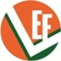 VIMERCATI EAST EUROPE logo - Similar company to Imkelly