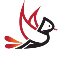 MorningBird Media logo - Similar company to Fgraccel