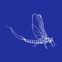 Iron Blue Financials Ltd logo - Similar company to Dragoneye Research