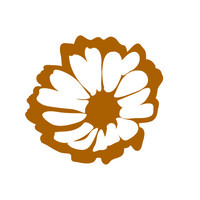 MarigoldFoundation NL
