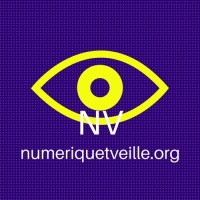 Numerique et veille logo - Similar company to L'Affaire Nayox, Thriller De Guy Boisberranger 351P - 9,90€ -Version Numérique 3€