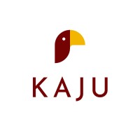 KAJU logo - Similar company to Nassara Benin