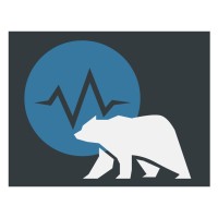 Kermodei Consulting logo - Similar company to D.G Desells Consulting Ltd.