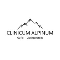 Clinicum Alpinum logo - Similar company to Ellstone Ag