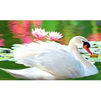 Catalyxt Swan Consultancy logo - Similar company to Tychonix Publishing Group