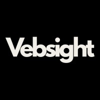 Vebsight logo - Similar company to Lintify