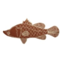 FISH - Foundation for Indigenous Sustainable Health logo - Similar company to Gevolve Solutions
