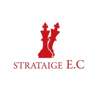 Strataige Expert Consult logo - Similar company to Gdmi-Drill