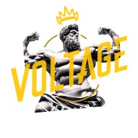 Voltage Performance FZ LLC logo - Similar company to The Bookshelf
