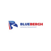 Bluebergh.com logo - Similar company to Blueberg Capital