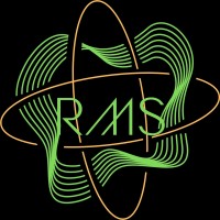 Rhein-Main Synercon Engineering & Consulting GmbH logo - Similar company to Tebits Gmbh