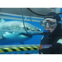 Adventure Bay Charters logo - Similar company to Hazavoid