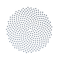 FibonacciLab logo - Similar company to Fibonacci Labs (Now Default)