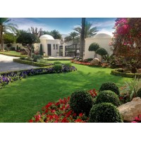 Royal Greens Landscaping