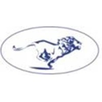 Ansher Investments Llp