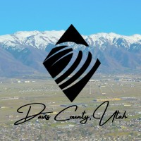 Transworld Business Advisors Davis logo - Similar company to Transworld Business Advisors-Phoenix