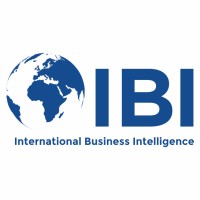 IBI SIT Investment Holdings logo - Similar company to Vigilance