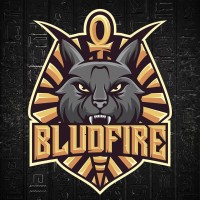 BDE Bludfire - ESCE Paris logo - Similar company to Bde Esa Olympians