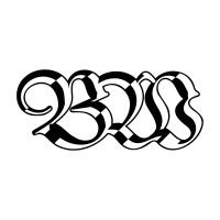 Brand Warriors logo - Similar company to Studio Magla