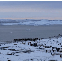 Stanford Inuit Cultural Association