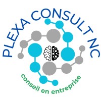 Plexa Consult NC logo - Similar company to Wave Estaca