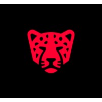 Cheetah Acquisition logo - Similar company to Linkedhance
