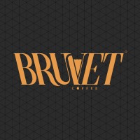 Bruvet logo - Similar company to Illuminos Consulting
