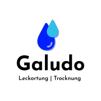 Galudo GmbH logo - Similar company to Suissesec