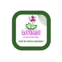 DVINCI logo - Similar company to Starpizza & Co. Srl