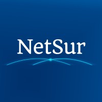 NetSur logo - Similar company to Equashield International