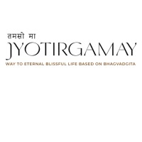 Jyotirgamay Solutions logo - Similar company to I-Source Infosystems Pvt. Ltd.