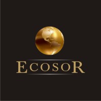 ECOSOR Outsourcing Experts logo - Similar company to Express Accountax Ltd