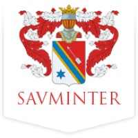 Savminter Enterprises Ltd logo - Similar company to Forcexdesign