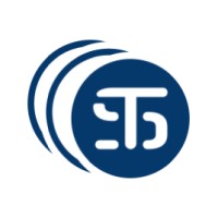 Synergie Translation logo - Similar company to Team Angelwolf