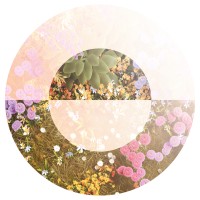 Orluna logo - Similar company to Astro Lighting