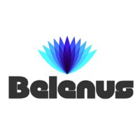 Belenus Consulting Group logo - Similar company to All About Work